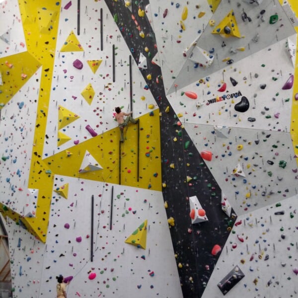 Climbing in the Grip