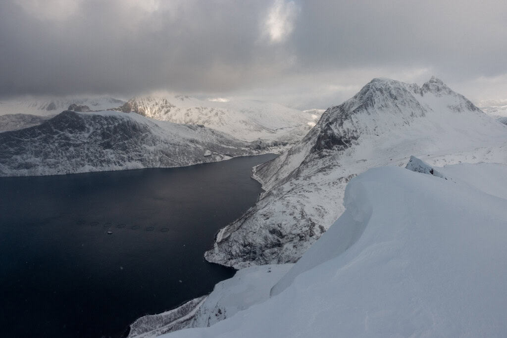 Winter and fjord in the snow