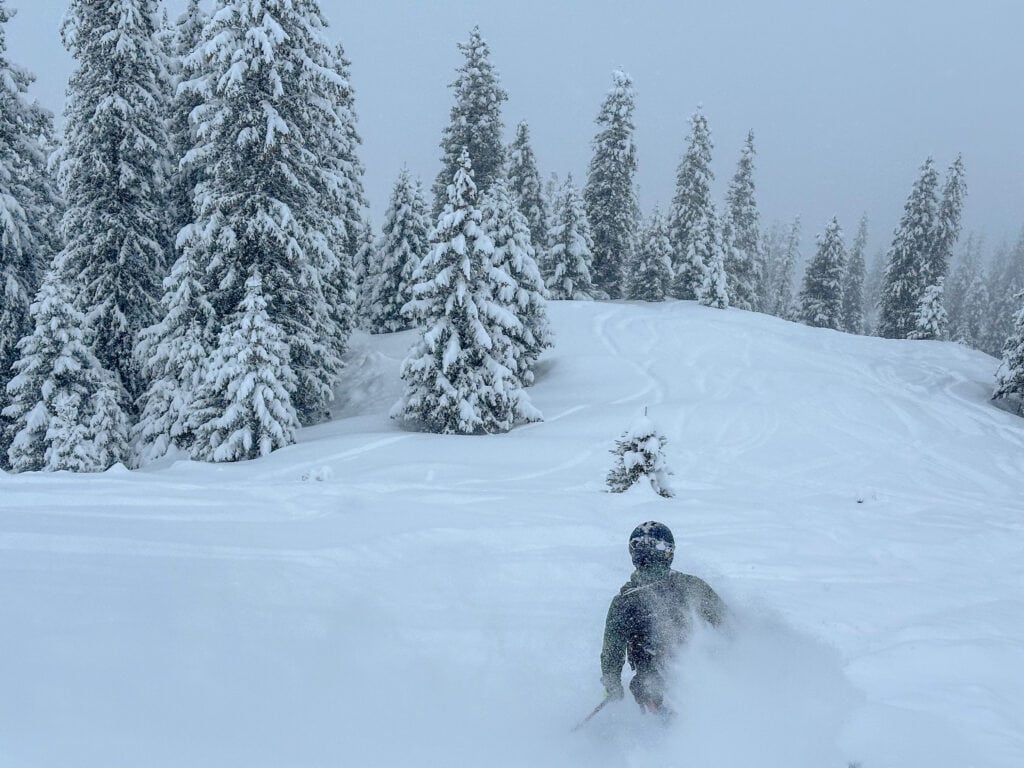 Powdering in the forest