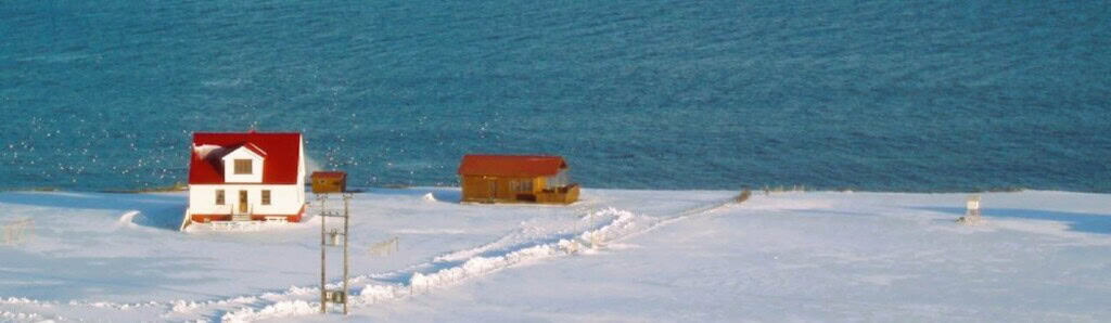 Haus am Meer in Island