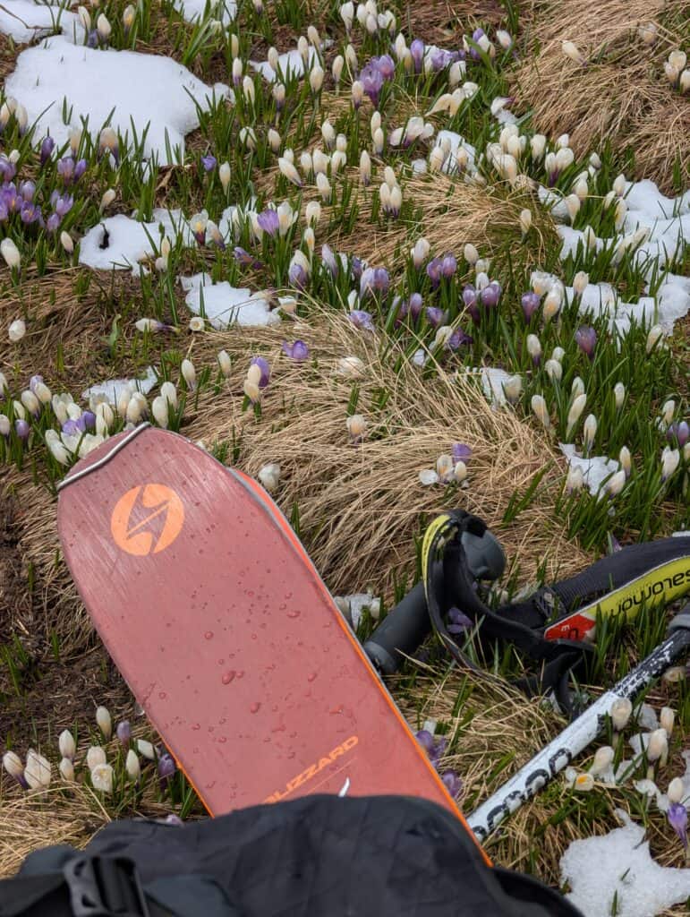 Flowers on the approach